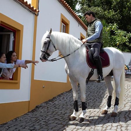 Quinta Do Malhinha- Turismo Villa Angra do Heroismo Ngoại thất bức ảnh