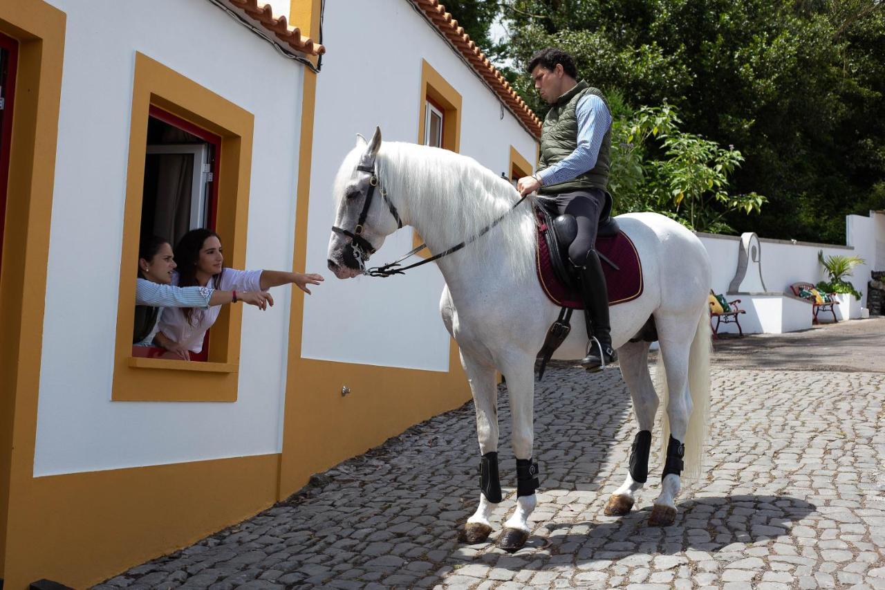 Quinta Do Malhinha- Turismo Villa Angra do Heroismo Ngoại thất bức ảnh