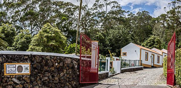 Quinta Do Malhinha- Turismo Villa Angra do Heroismo Ngoại thất bức ảnh