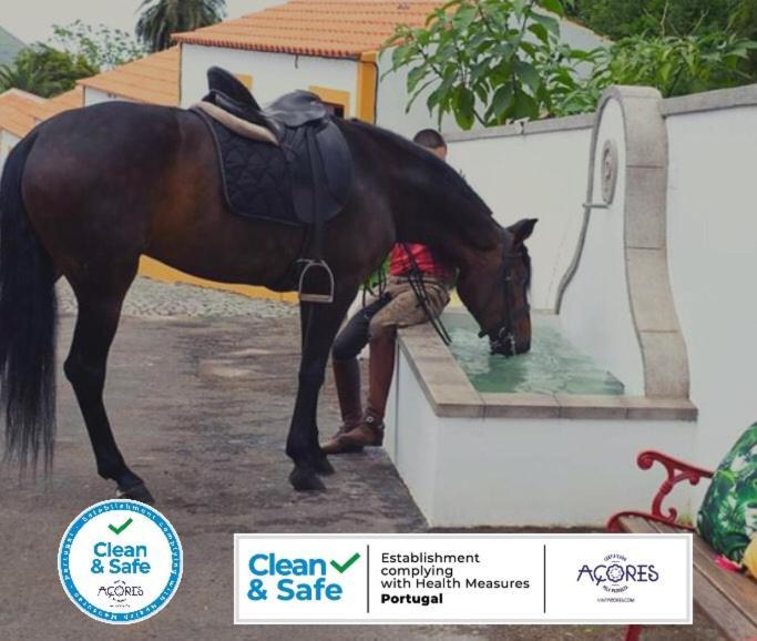 Quinta Do Malhinha- Turismo Villa Angra do Heroismo Ngoại thất bức ảnh